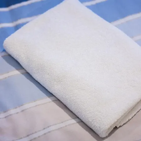 公寓式酒店 Apartamenty,pokoje Paholski