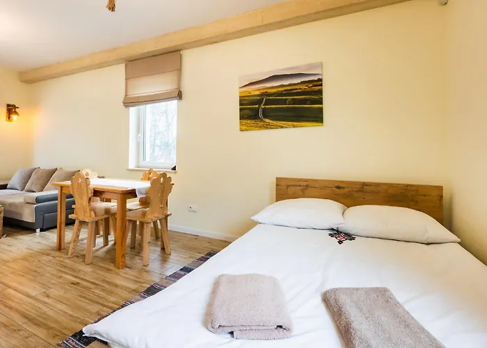 شقة فندقية Apartamenty,pokoje Paholski