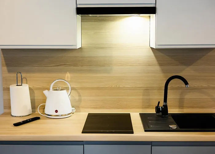 شقة فندقية Apartamenty,pokoje Paholski 3*