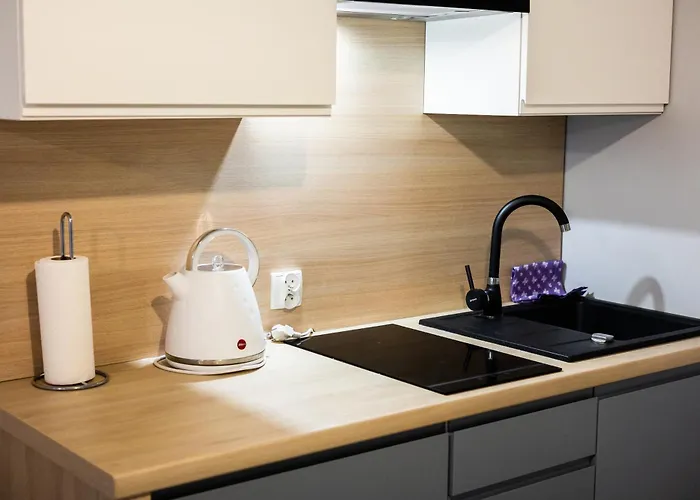 شقة فندقية Apartamenty,pokoje Paholski 3*