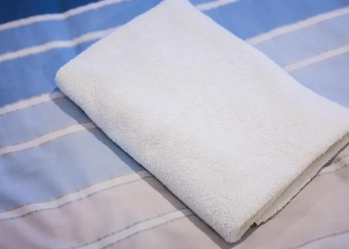 شقة فندقية Apartamenty,pokoje Paholski